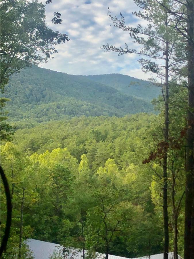 Mountain-Top Cabin Get-Away With Hot Tub And A View Sautee Nacoochee Exterior photo